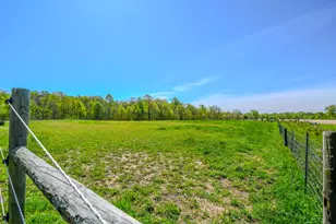 9563 Ward Rd, Saint Paris, OH 43072 - Photo 44