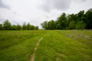 6275 Shindeldecker Rd, Rockford, OH 45882 - Photo 22