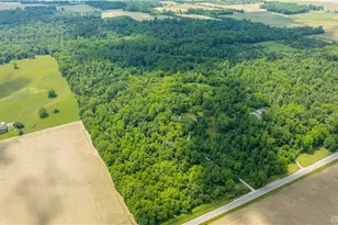 6599 US Hwy 36, Saint Paris, OH 43072 - Photo 6
