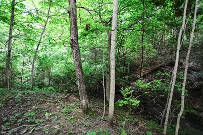 0 County Road 10, Bellefontaine, OH 43311 - Photo 18
