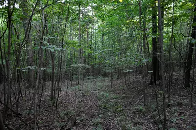 0 County Road 10, Bellefontaine, OH 43311 - Photo 42