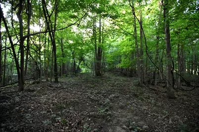 0 County Road 10, Bellefontaine, OH 43311 - Photo 36