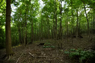 0 County Road 10, Bellefontaine, OH 43311 - Photo 40