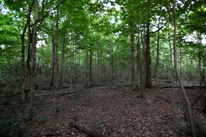 0 County Road 10, Bellefontaine, OH 43311 - Photo 28