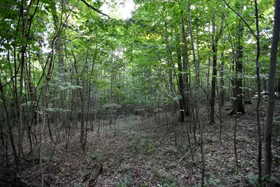 0 County Road 10, Bellefontaine, OH 43311 - Photo 34