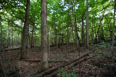 0 County Road 10, Bellefontaine, OH 43311 - Photo 30