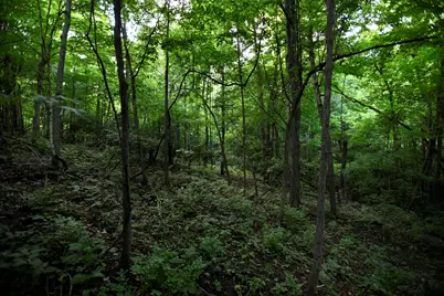 0 County Road 10, Bellefontaine, OH 43311 - Photo 44