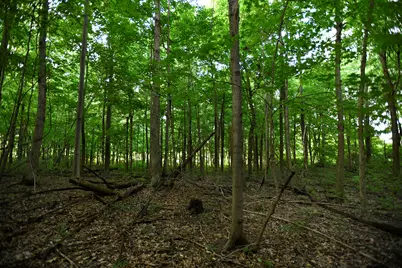 0 County Road 10, Bellefontaine, OH 43311 - Photo 38