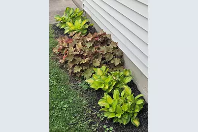 1909 W Washington Street, Springfield, OH 45506 - Photo 28