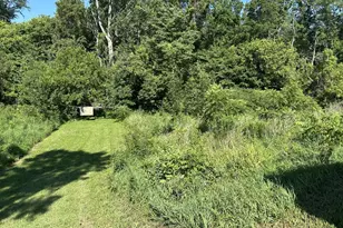 10239 Krugh Rd, Mendon, OH 45862 - Photo 40