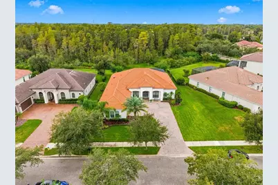 17314 San Aringo Pl, Lutz, FL 33548 - Photo 4