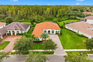 17314 San Aringo Pl, Lutz, FL 33548 - Photo 4