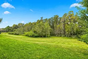 17314 San Aringo Pl, Lutz, FL 33548 - Photo 14
