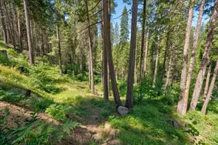 47824 Brammer-Purl Rd, Oakhurst, CA 93644 - Photo 34