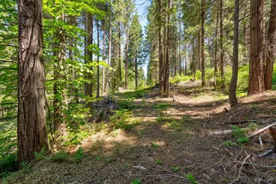 47824 Brammer Purl Road, Oakhurst, CA 93644 - Photo 6