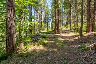 47824 Brammer-Purl Rd, Oakhurst, CA 93644 - Photo 6
