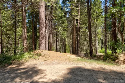 47824 Brammer Purl Road, Oakhurst, CA 93644 - Photo 38