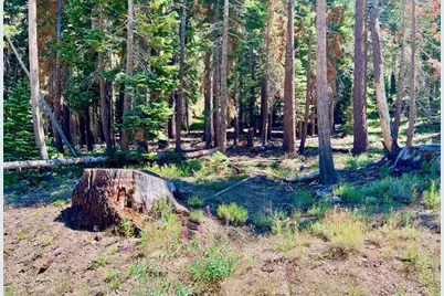 529 E Meadows Drive, Kirkwood, CA 95646 - Photo 26