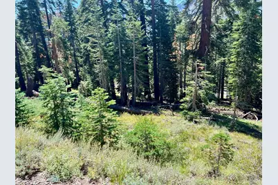 529 E Meadows Drive, Kirkwood, CA 95646 - Photo 24