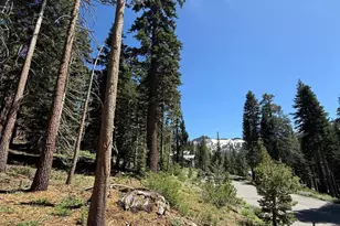 529 E Meadows Dr, Kirkwood, CA 95646 - Photo 1