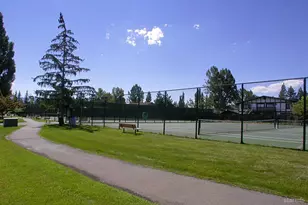 439 Ala Wai Blvd, South Lake Tahoe, CA 96150 - Photo 16