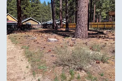 1351 Gilmore Lake Road, South Lake Tahoe, CA 96150 - Photo 4