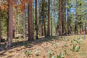 1580 Boca Raton Dr, South Lake Tahoe, CA 96150 - Photo 34