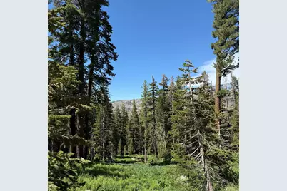 34011 Danburg Drive #50, Kirkwood, CA 95646 - Photo 16