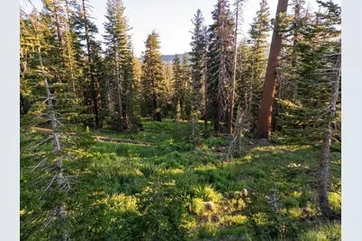 34011 Danburg Drive #50, Kirkwood, CA 95646 - Photo 4