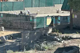 313 Tramway Dr, Stateline, NV 89449 - Photo 18