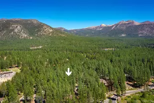 1339 Meadow Crest Dr, South Lake Tahoe, CA 96150 - Photo 34