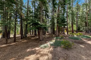 1993 High Meadow Trail, South Lake Tahoe, CA 96150 - Photo 34