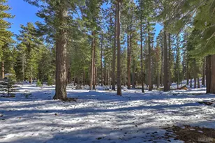 1281 Bonanza Ave, South Lake Tahoe, CA 96150 - Photo 34