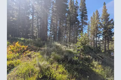 645 Columbine Circle, Kirkwood, CA 95646 - Photo 12