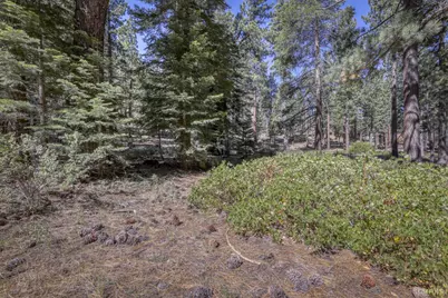 1352 Tata Lane, South Lake Tahoe, CA 96150 - Photo 34