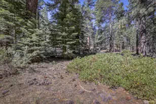 1352 Tata Ln, South Lake Tahoe, CA 96150 - Photo 34
