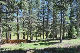 34040 Yarrow Pl, Kirkwood, CA 95646 - Photo 26