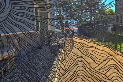 276 Beach Drive, South Lake Tahoe, CA 96150 - Photo 4