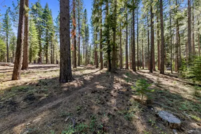 1741 Delaware Street, South Lake Tahoe, CA 96150 - Photo 14