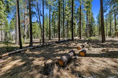 1741 Delaware Street, South Lake Tahoe, CA 96150 - Photo 16