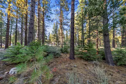 715 Shoshone Street, South Lake Tahoe, CA 96150 - Photo 6