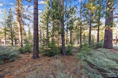 715 Shoshone Street, South Lake Tahoe, CA 96150 - Photo 8