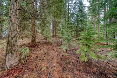 1593 Plumas Circle, South Lake Tahoe, CA 96150 - Photo 6
