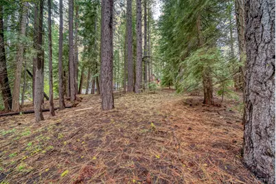 1593 Plumas Circle, South Lake Tahoe, CA 96150 - Photo 4