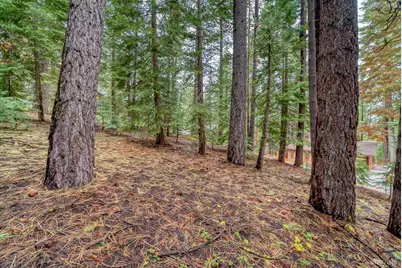 1593 Plumas Circle, South Lake Tahoe, CA 96150 - Photo 12