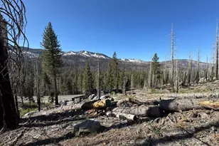 20149 US Hwy 50, South Lake Tahoe, CA 96150 - Photo 1