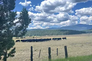 200 E Main St, Sierraville, CA 96126 - Photo 4