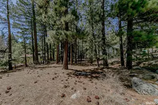 1442 Price Rd, South Lake Tahoe, CA 96150 - Photo 1