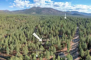 2480 Sierra House Trail, South Lake Tahoe, CA 96150 - Photo 28