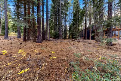 1590 Iroquois Circle, South Lake Tahoe, CA 96150 - Photo 16
